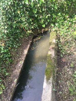 Kandıra Hacımazlı Köyü Resimleri 9