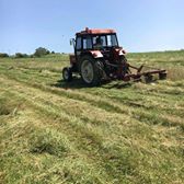 Kandıra Hacışeyh Köyü Resimleri 2