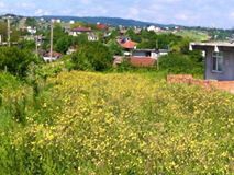 Kandıra Hediyeli Köyü Resimleri 2