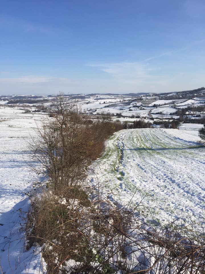 Kandıra Hediyeli Köyü Resimleri 6