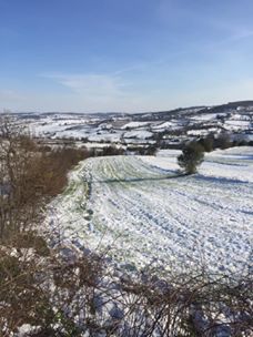 Kandıra Hediyeli Köyü Resimleri 7