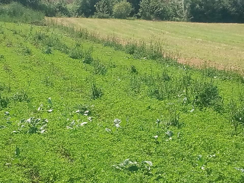 Kandıra Hıdırlar Köyü Resimleri 6
