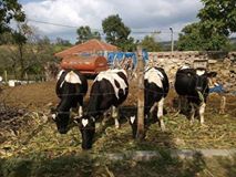 Kandıra Hüdaverdiler Köyü Resimleri 4