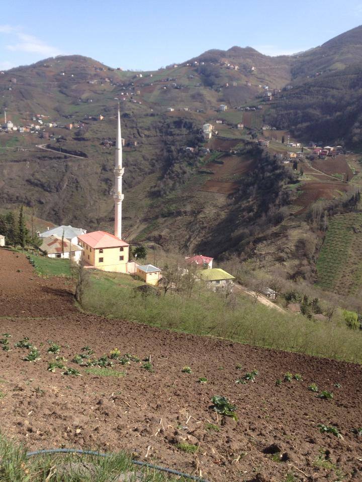 Kandıra İncecik Köyü Resimleri 2