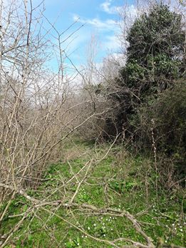 Kandıra İncecik Köyü Resimleri 8