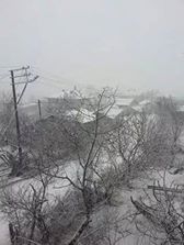 Kandıra Kabaağaç Köyü Resimleri 1