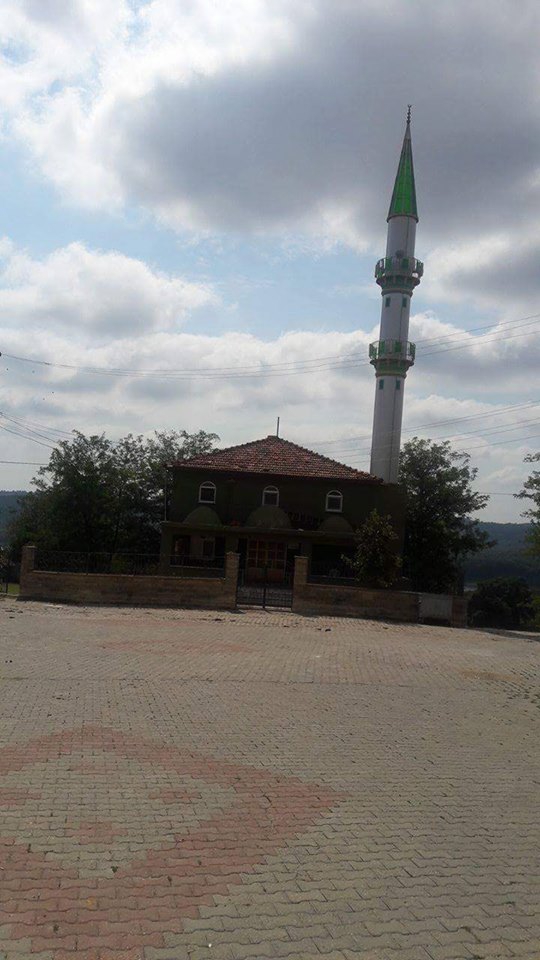 Kandıra Kabaağaç Köyü Resimleri 7