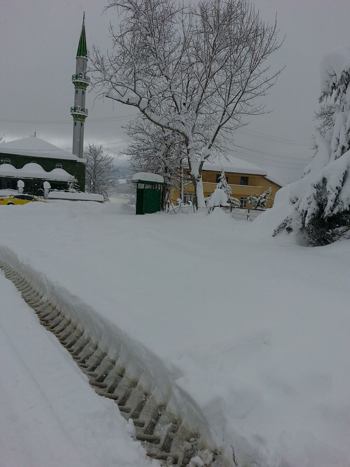 Kandıra Kabaağaç Köyü Resimleri 8