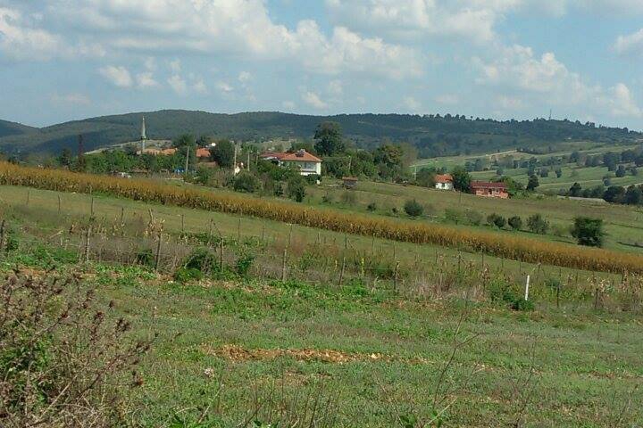 Kandıra Karadivan Köyü Resimleri 1