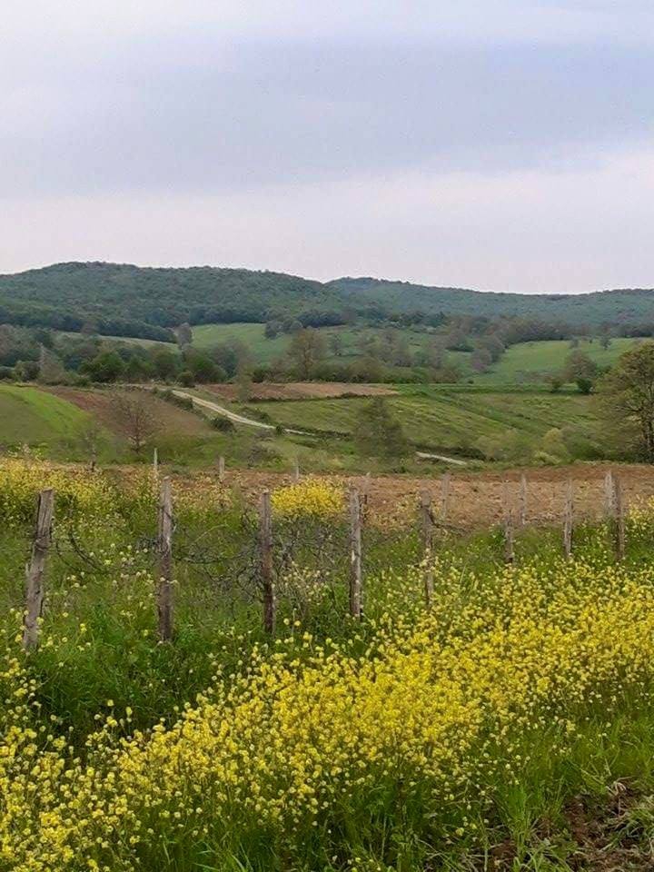 Kandıra Kıncıllı Köyü Resimleri 2