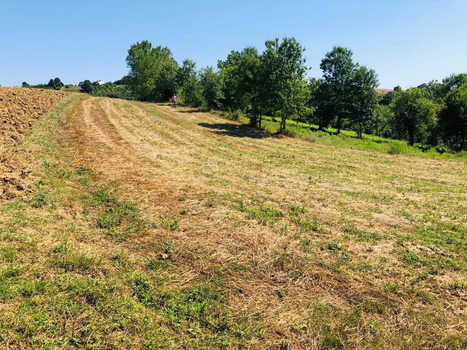 Kandıra Kırkarmut Köyü Resimleri 5