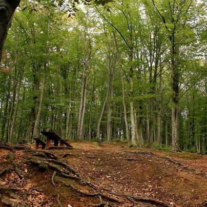 Kandıra Kızılcapınar Köyü Resimleri 2