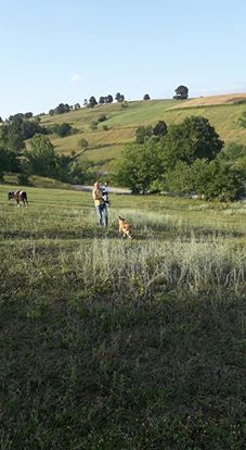 Kandıra Kocakaymas Köyü Resimleri 1