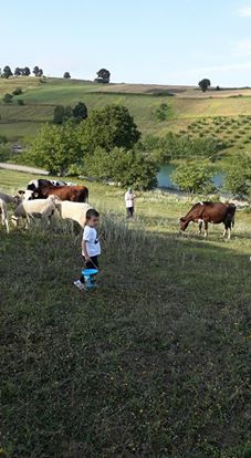 Kandıra Kocakaymas Köyü Resimleri 2