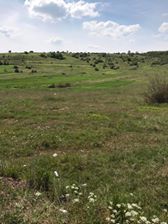 Kandıra Kocakaymas Köyü Resimleri 6