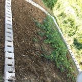 Kandıra Kubuzcu Köyü Resimleri 3