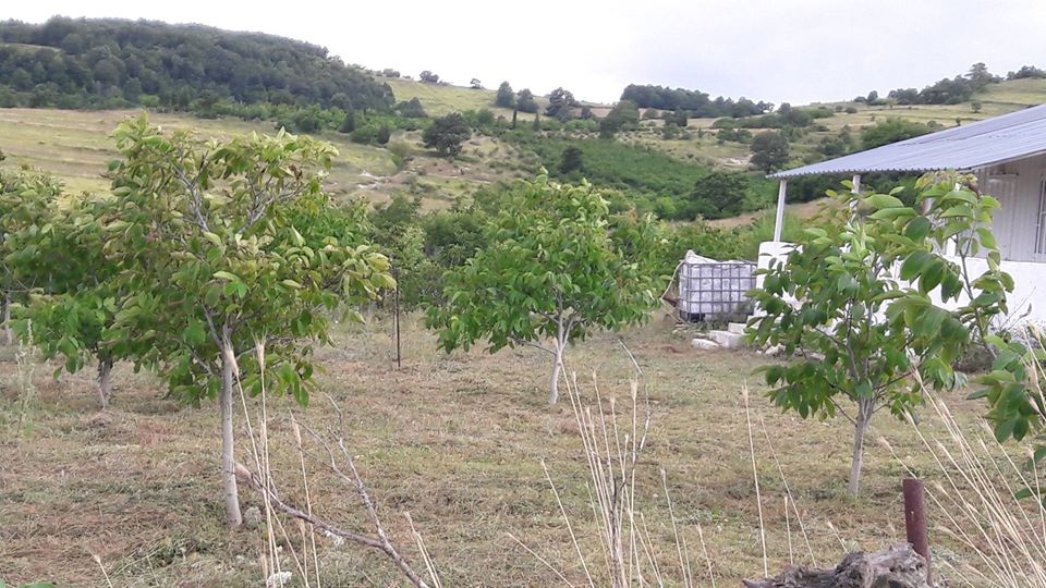 Kandıra Kubuzcu Köyü Resimleri 4