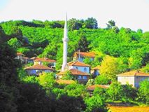 Kandıra Kurtyeri Köyü Resimleri 6