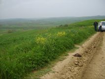 Kandıra Mancarlar Köyü Resimleri 1