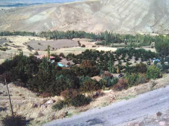 Divriği Kavaklısu Köyü Resimleri 6