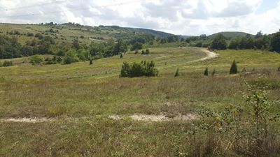 Kandıra Nasuhlar Köyü Resimleri 7