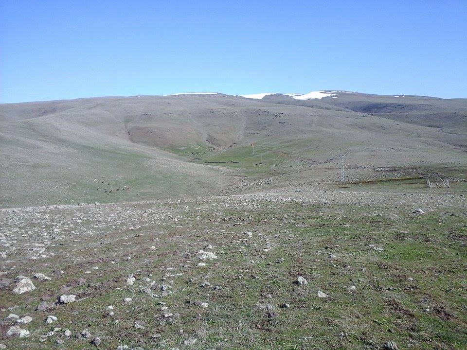 Kovancılar Tabanbözü Köyü Resimleri 2