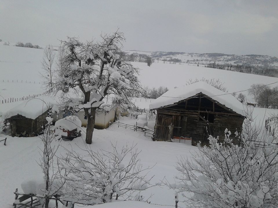 Kandıra Ömerli Köyü Resimleri 1