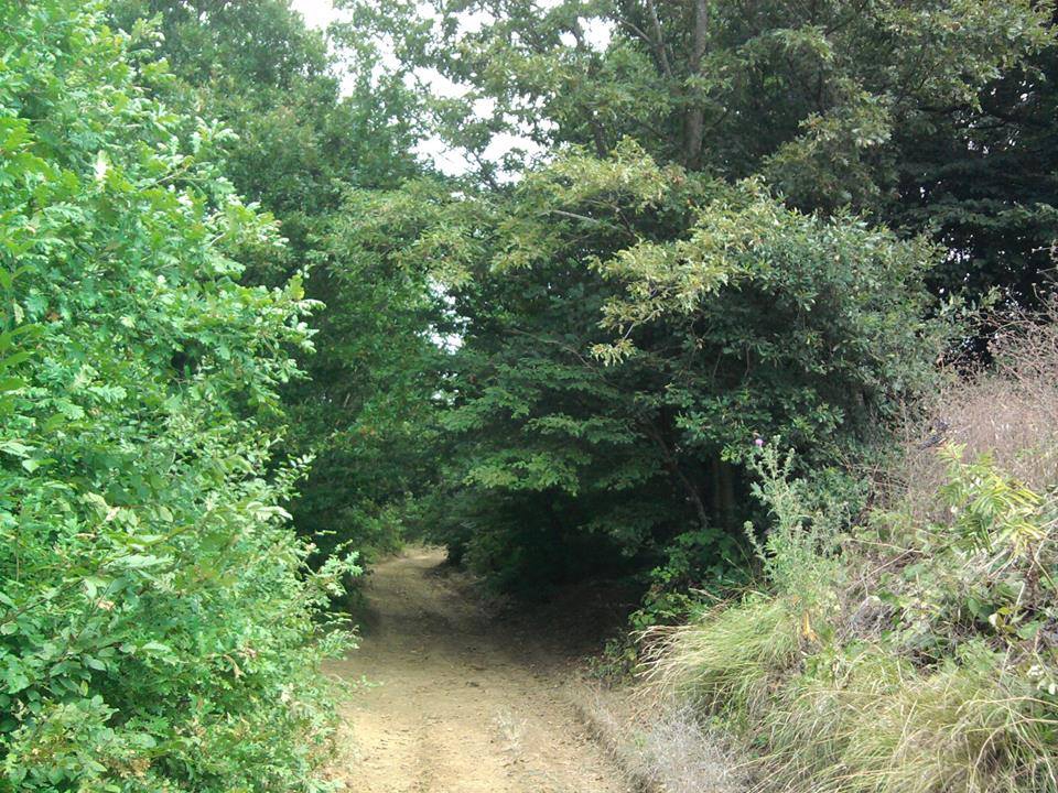 Kandıra Ömerli Köyü Resimleri 3