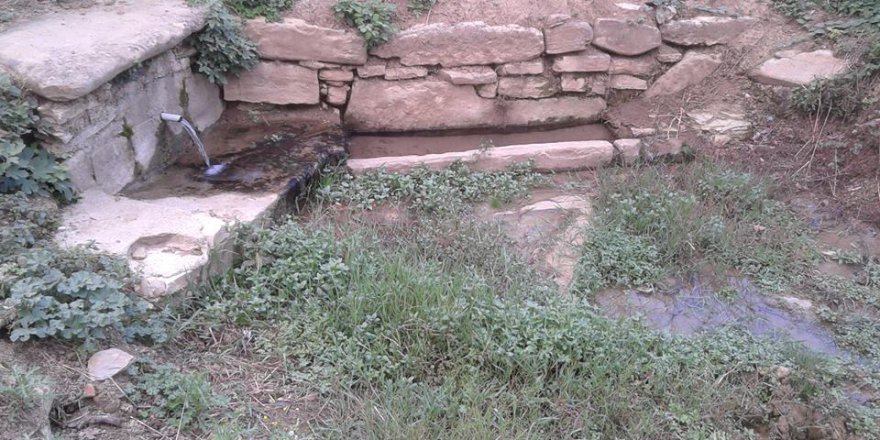 Kandıra Ömerli Köyü Resimleri