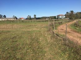 Kandıra Özbey Köyü Resimleri 3