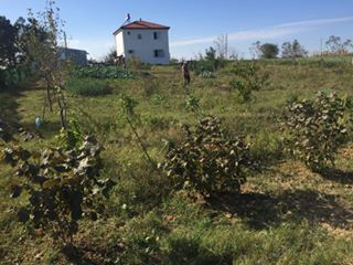 Kandıra Özbey Köyü Resimleri 4