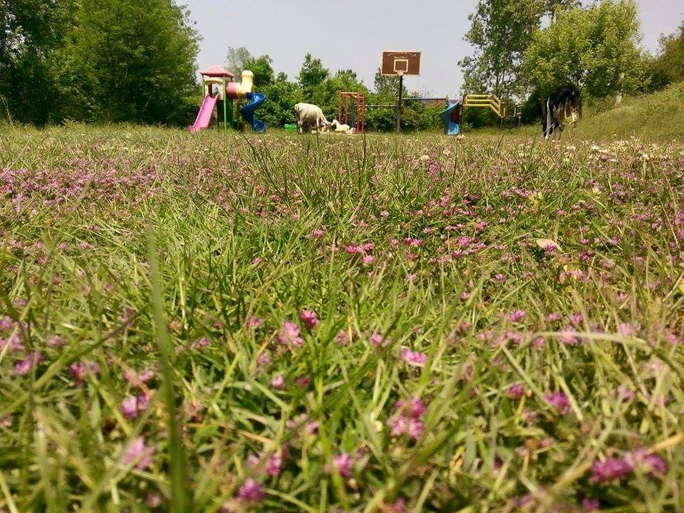 Kandıra Pınardüzü Köyü Resimleri 2