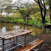 Kandıra Pınardüzü Köyü Resimleri 6