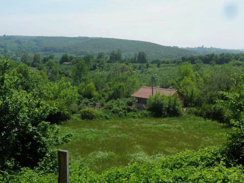 Kandıra Safalı Köyü Resimleri 2