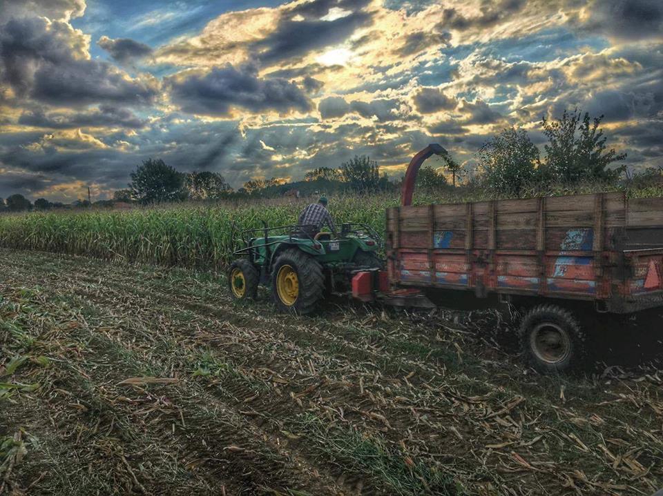 Kandıra Safalı Köyü Resimleri 7