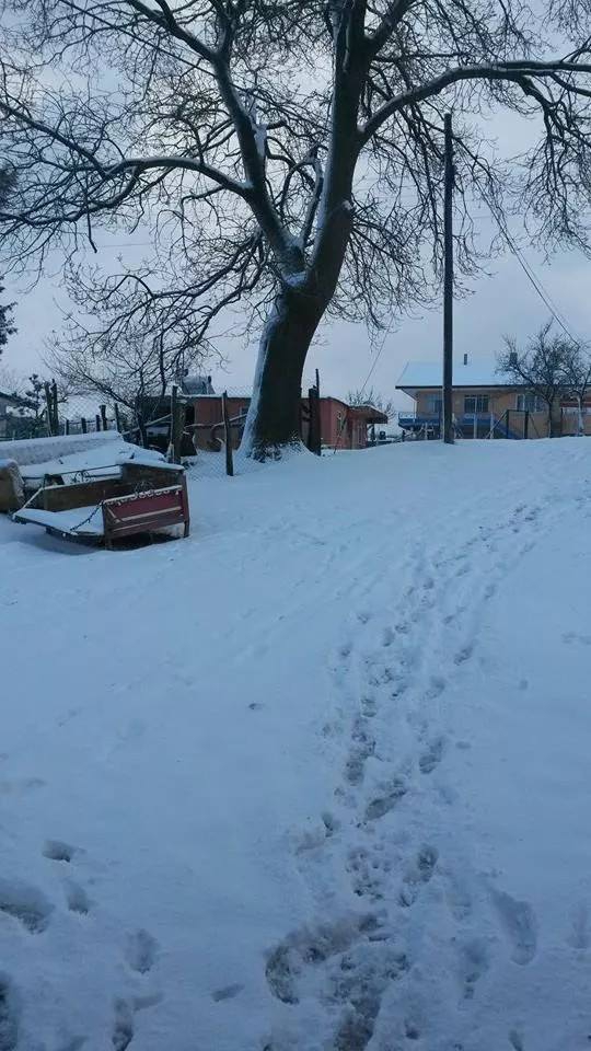 Kandıra Sarıahmetler Köyü Resimleri 1