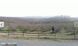 Kandıra Sarıcaali Köyü Resimleri 2