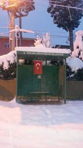 Kandıra Sarıgazi Köyü Resimleri 3