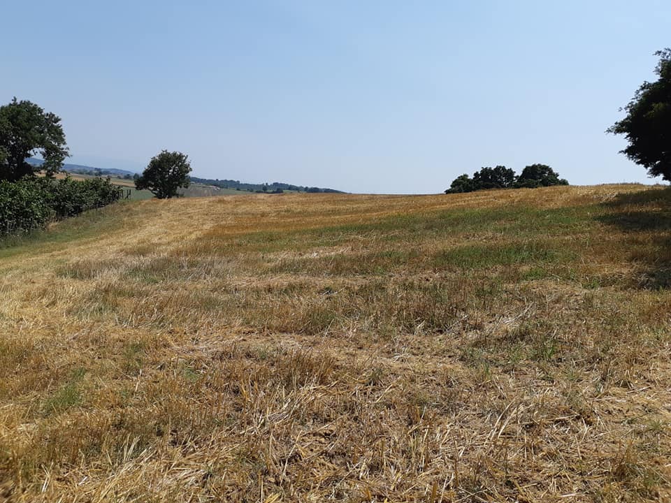 Kandıra Sarıgazi Köyü Resimleri 8