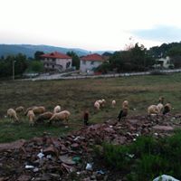 Kandıra Selametli Köyü Resimleri 1