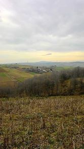 Kandıra Selimköy Köyü Resimleri 3