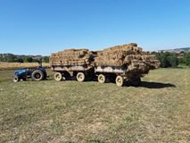 Kandıra Selimköy Köyü Resimleri 5