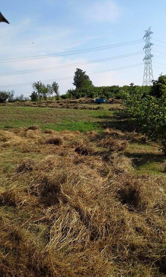 Kandıra Sepetçi Köyü Resimleri 1