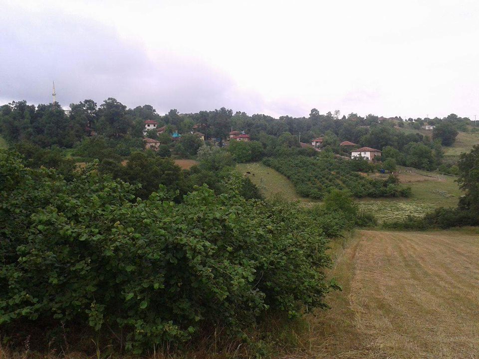 Kandıra Sepetçi Köyü Resimleri 2