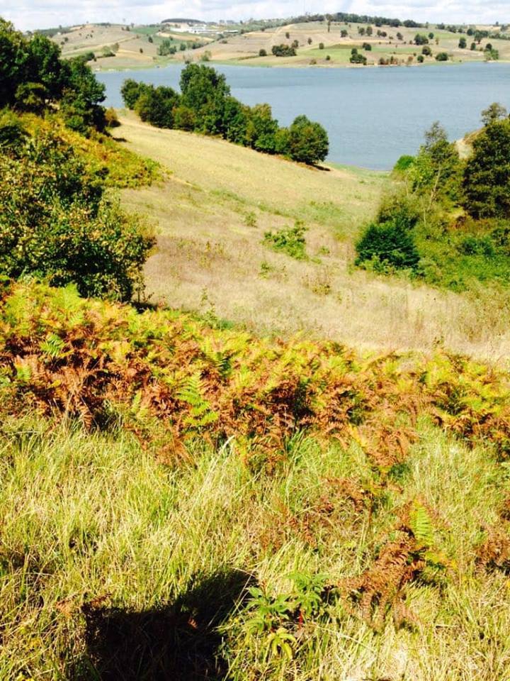 Kandıra Seyitaliler Köyü Resimleri 7