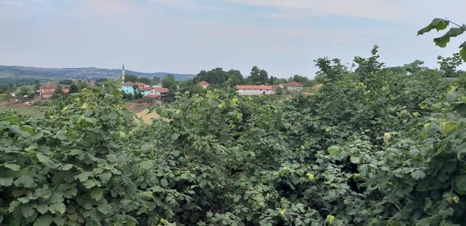 Kandıra Seyitaliler Köyü Resimleri 8