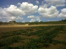 Kandıra Sucuali Köyü Resimleri 2