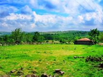 Kandıra Sucuali Köyü Resimleri 6