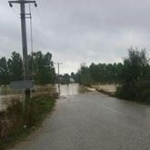 Kandıra Sucuali Köyü Resimleri 9