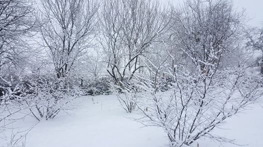 Kandıra Süllü Köyü Resimleri 2